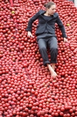 An Apple a day 11 * 5616 x 3744 * (10.44MB)